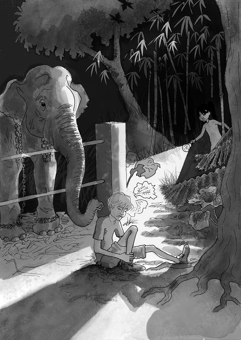Coeurs de Jungle