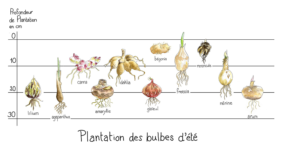 Jardinage