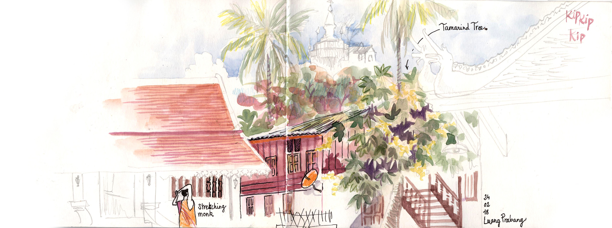 Julie Blaquie illustration Bordeaux
